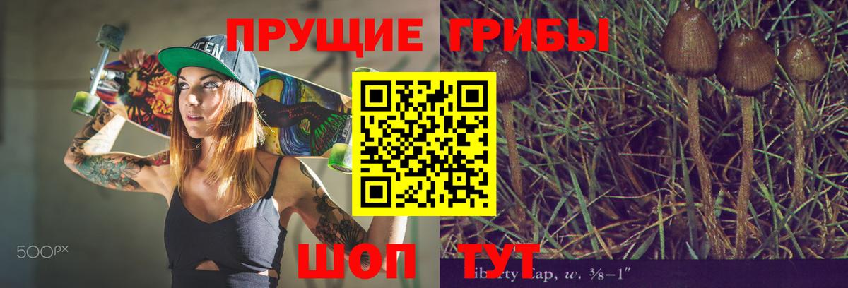 Галлюциногенные грибы Psilocybine cubensis  Вход с VPN  где можно купить наркотик  Борисоглебск 